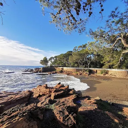 Ensoleillé Avec Terrasse Et à Proximité Appartamento